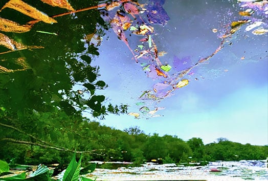 fleurs-sur-l'eau Reflets colorés à la surface de l’eau évoquant l’exploration intérieure et les états modifiés de conscience